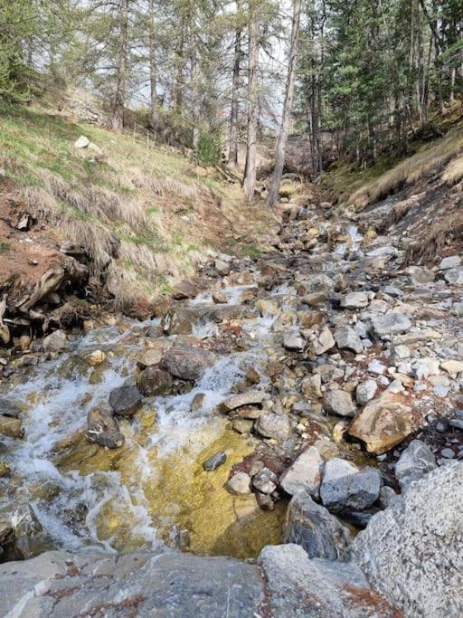 T2 + Coin Montagne - Wifi/Piscine - Les Orres 1800 Leilighet Eksteriør bilde